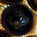 Black & White Mint (White Chocolate Ganache covered with Dark Chocolate)